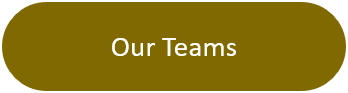 Our Teams